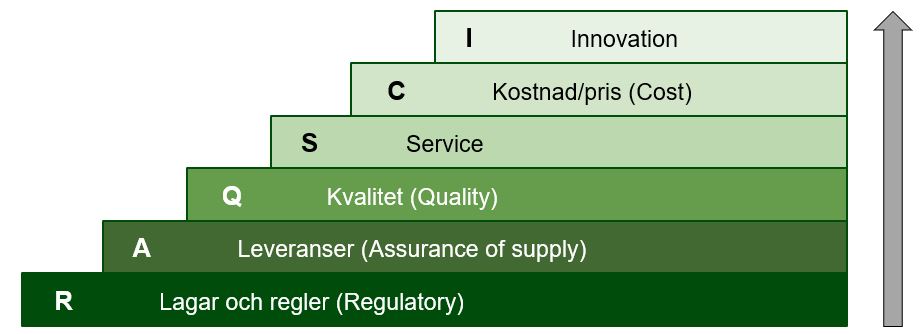 De olika stegen i RAQSCI modellen